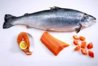 Harga Ikan Salmon