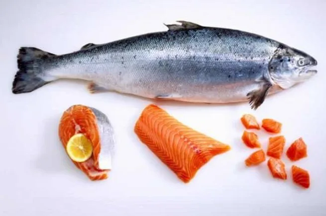 Harga Ikan Salmon